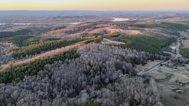 drone / aerial view with a mountain view and a wooded view