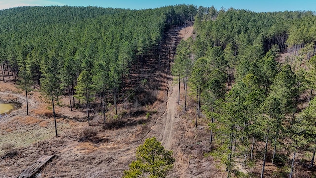 birds eye view of property featuring a forest view