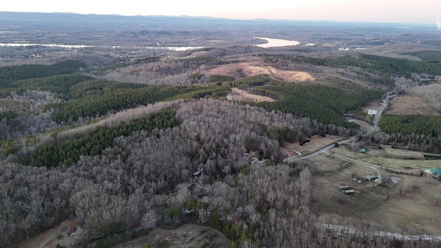 aerial view featuring a mountain view and a forest view