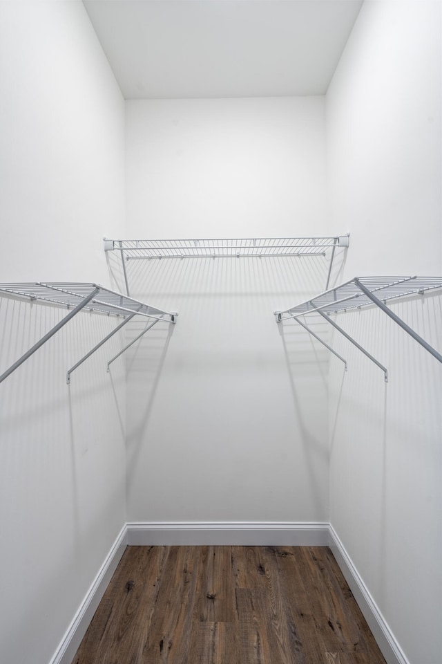 spacious closet featuring dark hardwood / wood-style flooring