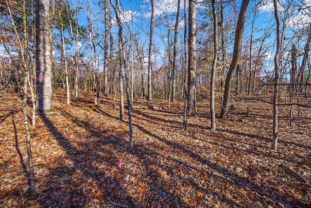 Listing photo 2 for 000 Ewing Rd, Spring City TN 37381