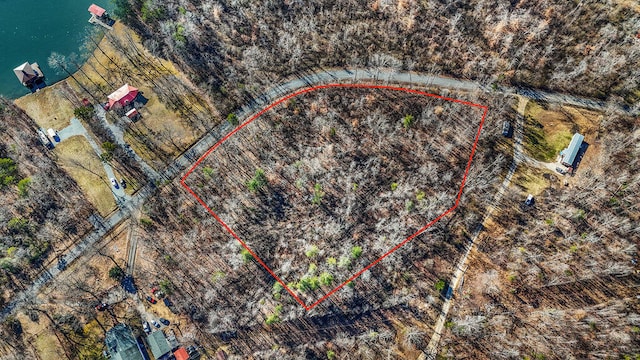 000 Ewing Rd, Spring City TN, 37381 land for sale