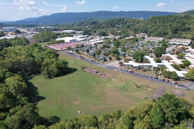 aerial view with a mountain view