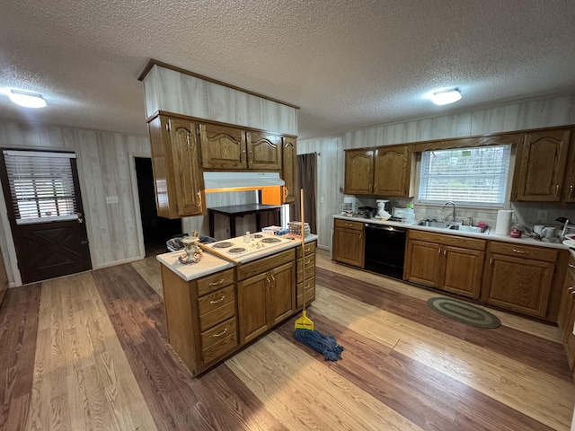 kitchen featuring light hardwood / wood-style flooring, dishwasher, white cooktop, and sink