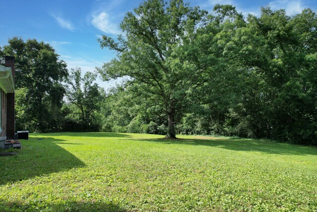 111 County Road 534, Etowah, TN 37331 - photo 11