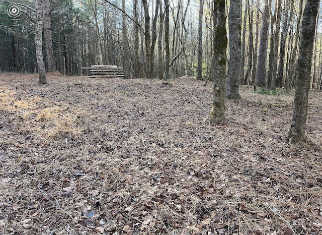 00 County Road 956, Calhoun, TN 37309 - photo 23