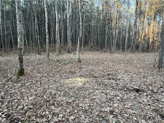 00 County Road 956, Calhoun, TN 37309 - photo 20