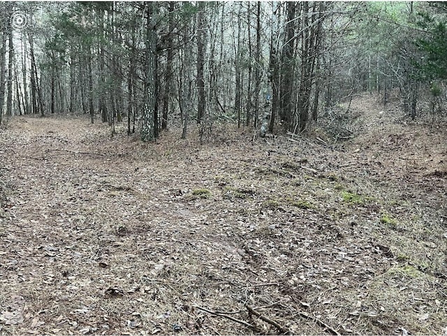 00 County Road 956, Calhoun, TN 37309 - photo 24