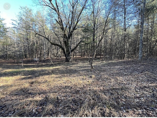 00 County Road 956, Calhoun, TN 37309 - photo 15