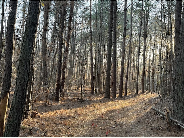 00 County Road 956, Calhoun, TN 37309 - photo 8