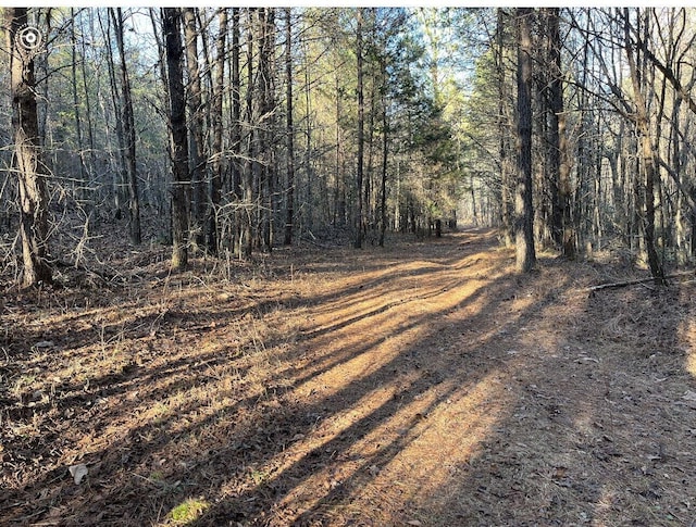 00 County Road 956, Calhoun, TN 37309 - photo 14