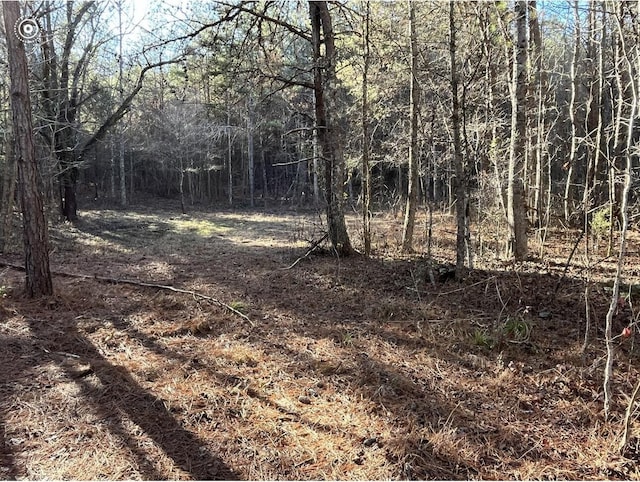 00 County Road 956, Calhoun, TN 37309 - photo 13
