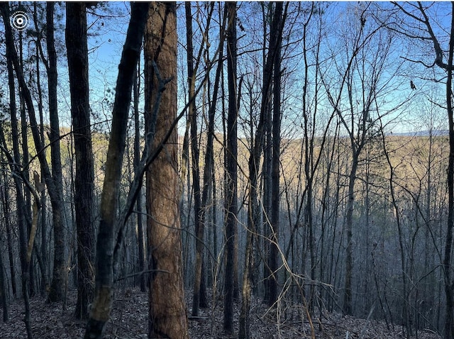 00 County Road 956, Calhoun, TN 37309 - photo 10