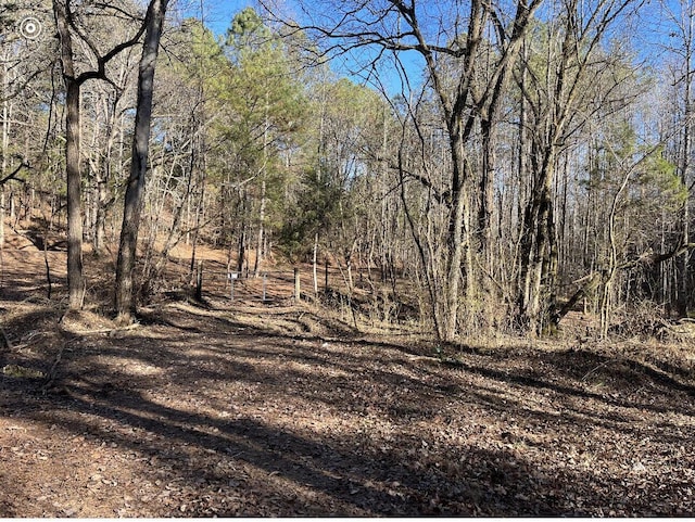 00 County Road 956, Calhoun, TN 37309 - photo 19
