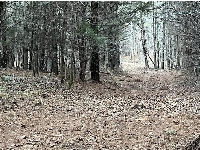 00 County Road 956, Calhoun, TN 37309 - photo 25
