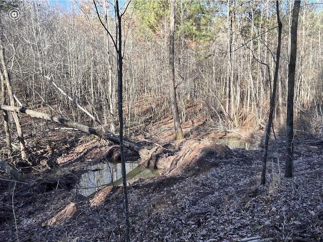 00 County Road 956, Calhoun, TN 37309 - photo 21