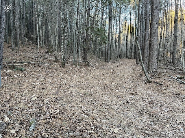 00 County Road 956, Calhoun, TN 37309 - photo 22
