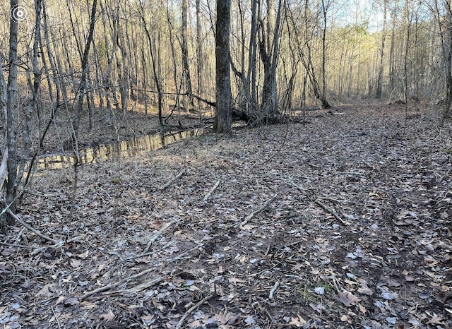 00 County Road 956, Calhoun, TN 37309 - photo 2