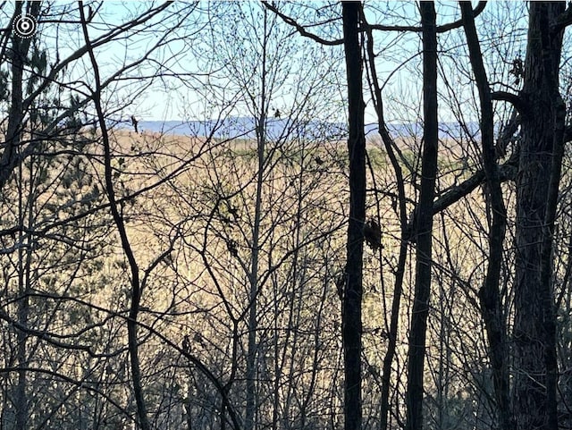 00 County Road 956, Calhoun, TN 37309 - photo 1