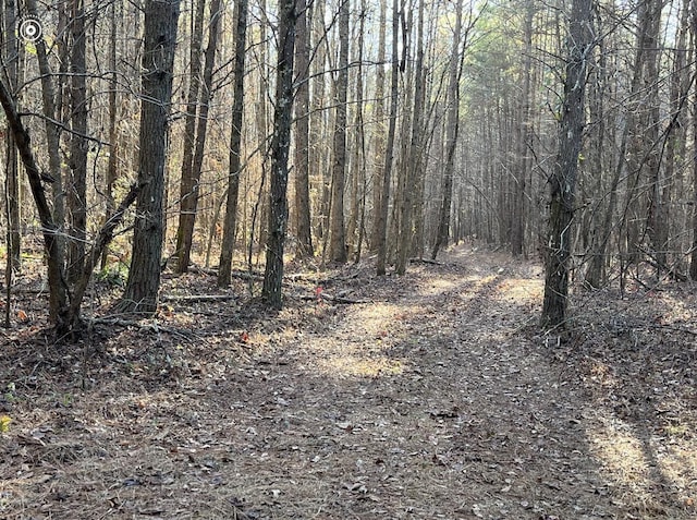 00 County Road 956, Calhoun, TN 37309 - photo 12