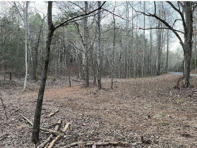 00 County Road 956, Calhoun, TN 37309 - photo 9