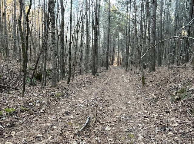 00 County Road 956, Calhoun, TN 37309 - photo 4