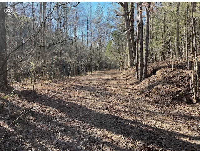 00 County Road 956, Calhoun, TN 37309 - photo 18