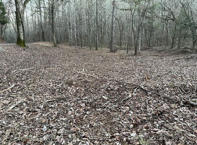00 County Road 956, Calhoun, TN 37309 - photo 26