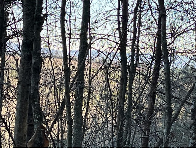 00 County Road 956, Calhoun, TN 37309 - photo 7