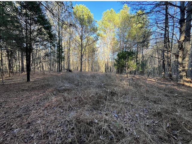 00 County Road 956, Calhoun, TN 37309 - photo 16