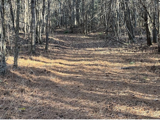 00 County Road 956, Calhoun, TN 37309 - photo 11