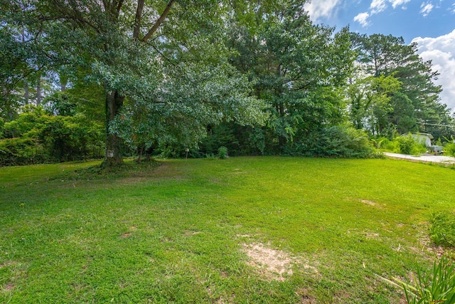 4701 Maywood Ln, Chattanooga, TN 37416 - view of green lawn