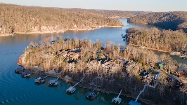 birds eye view of property featuring a water view and a view of trees