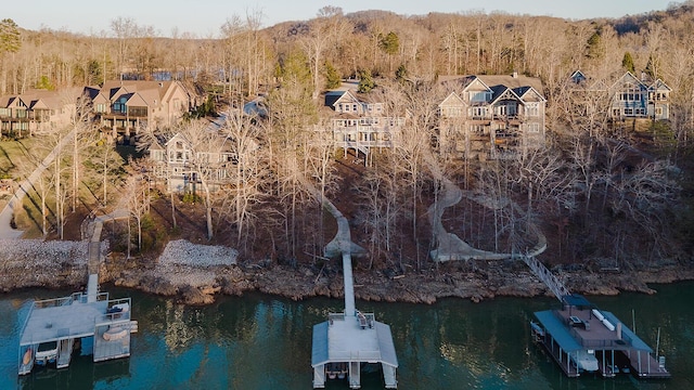 bird's eye view featuring a water view and a view of trees