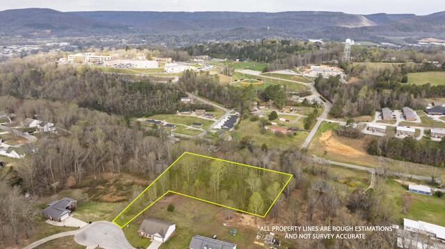 460 Arbor Pointe Trl, Dayton, TN 37321 - photo 9