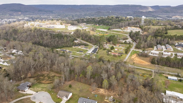 460 Arbor Pointe Trl, Dayton, TN 37321 - photo 17