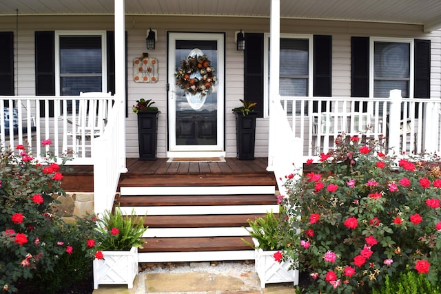 view of exterior entry featuring covered porch