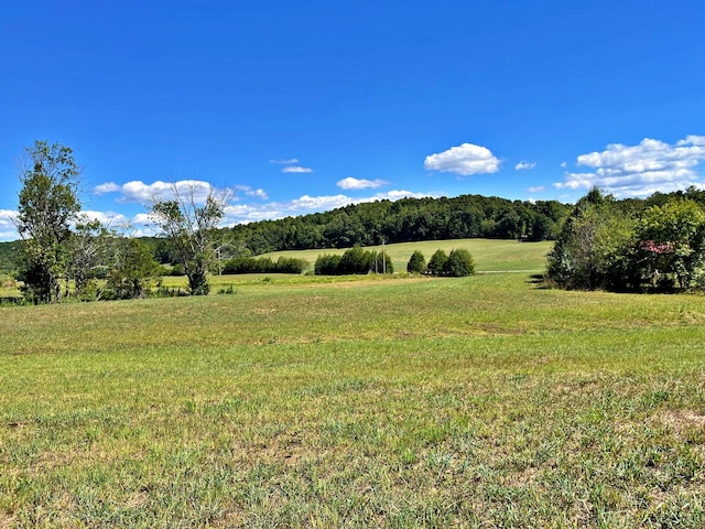 0 N Nopone Valley Rd, Decatur TN, 37322 land for sale