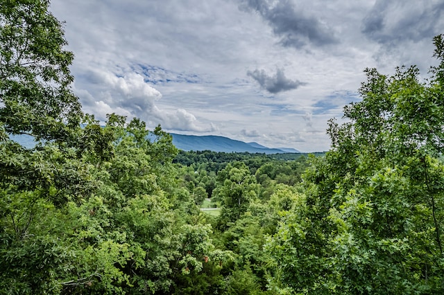 property view of mountains