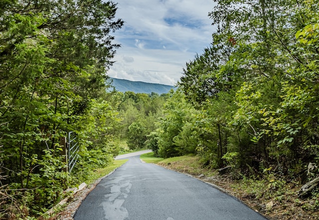 view of road featuring a mountain view