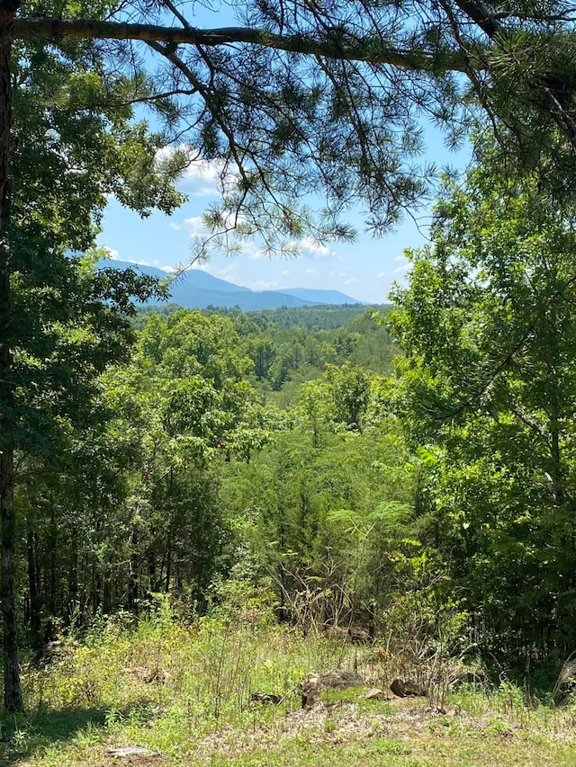 view of mountain feature