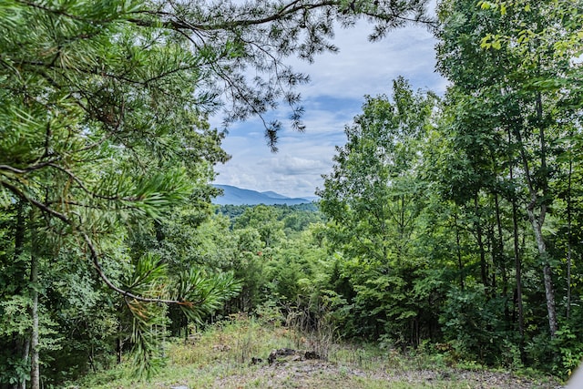 view of mountain feature