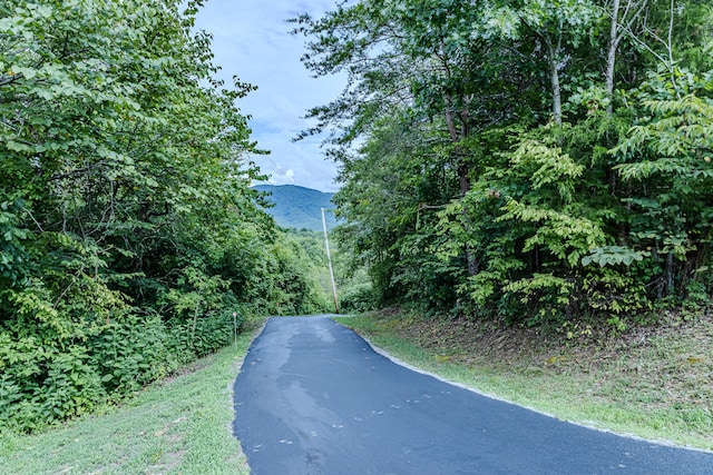 view of road featuring a mountain view