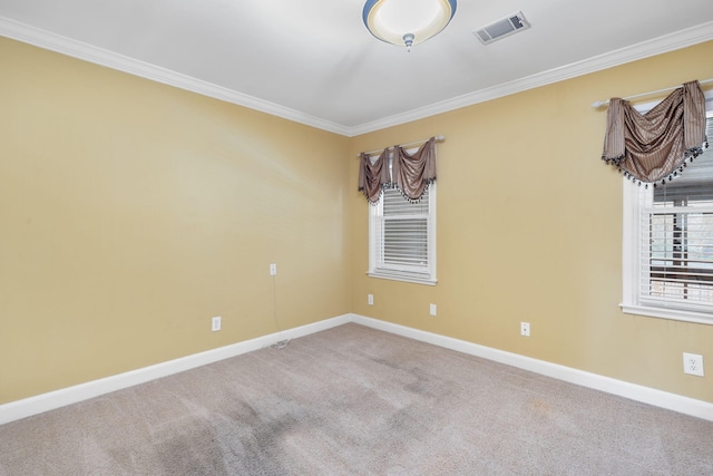 spare room featuring carpet floors and ornamental molding