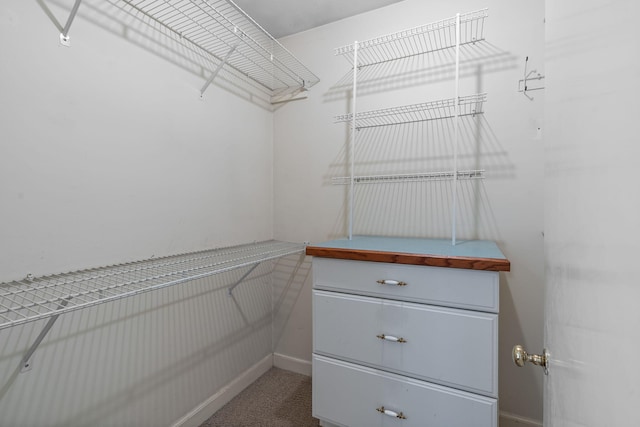 spacious closet featuring carpet floors