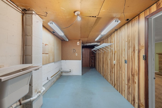 basement with wood walls