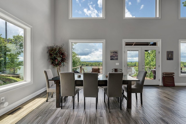 dining space featuring hardwood / wood-style floors, a towering ceiling, and a wealth of natural light