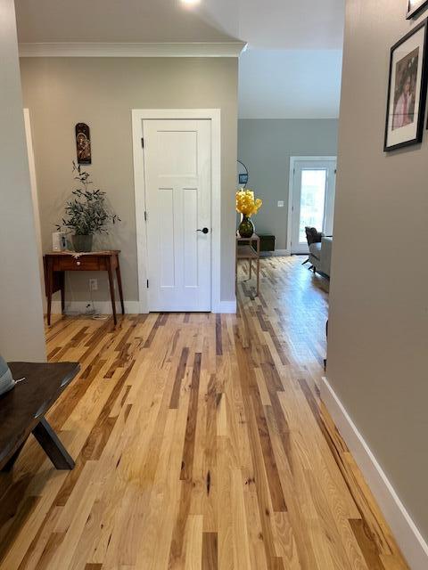 hallway with crown molding and light hardwood / wood-style floors