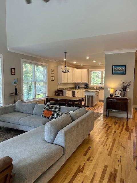 living room featuring ornamental molding, light wood-type flooring, a healthy amount of sunlight, and sink