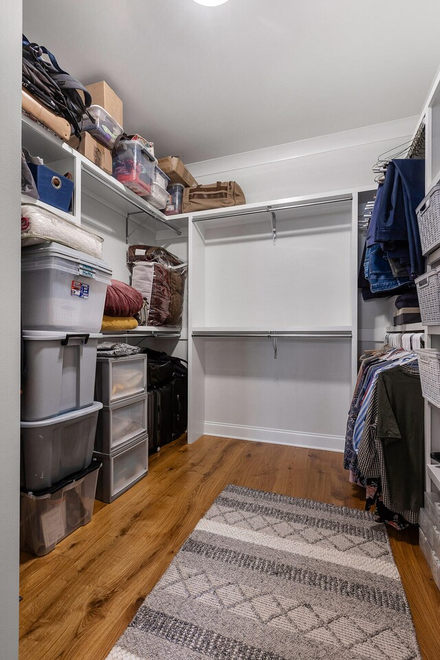 walk in closet with hardwood / wood-style floors